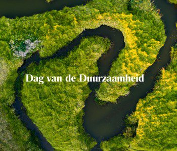 Dag van de Duurzaamheid - Samen naar een groene toekomst cover